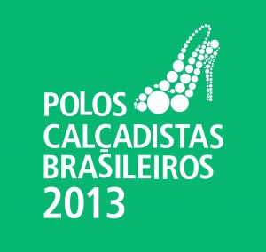 POLO_2013_selo